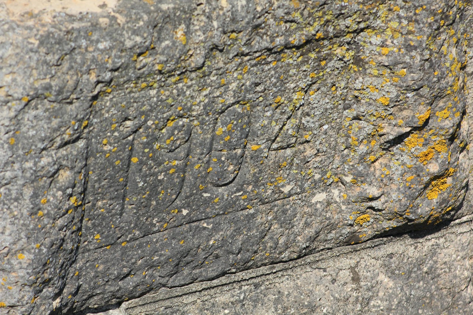 Date stone